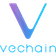 vet-vechain icon